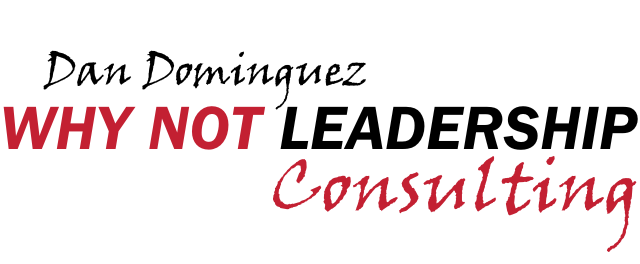 DD WNL Consulting Logo